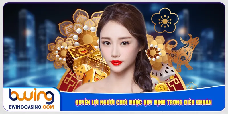 Quyền lợi người chơi được quy định trong điều khoản
