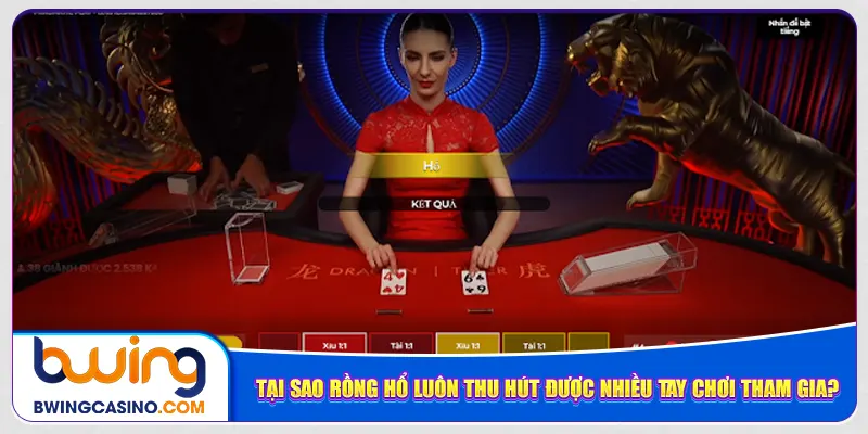 Tại sao rồng hổ luôn thu hút được nhiều tay chơi tham gia?