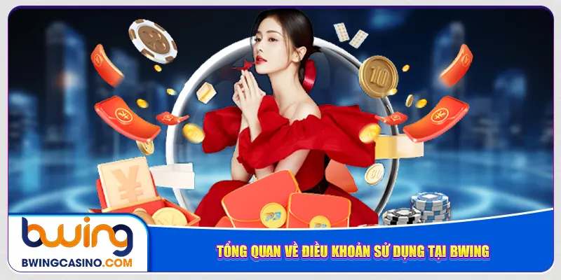 Tổng quan về điều khoản sử dụng tại Bwing